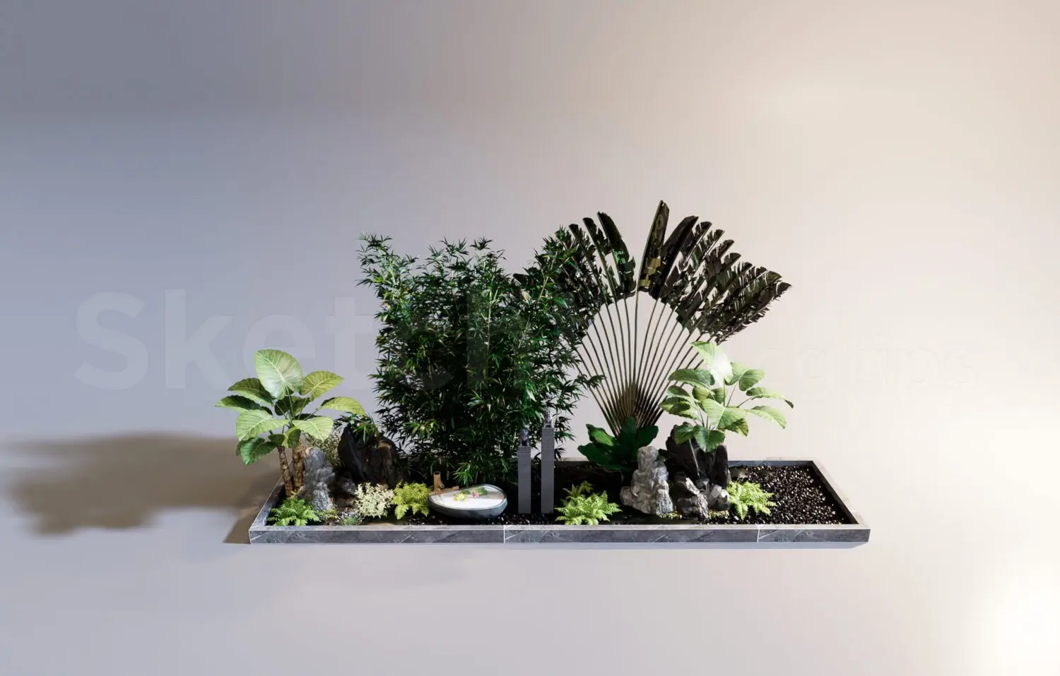 Plant