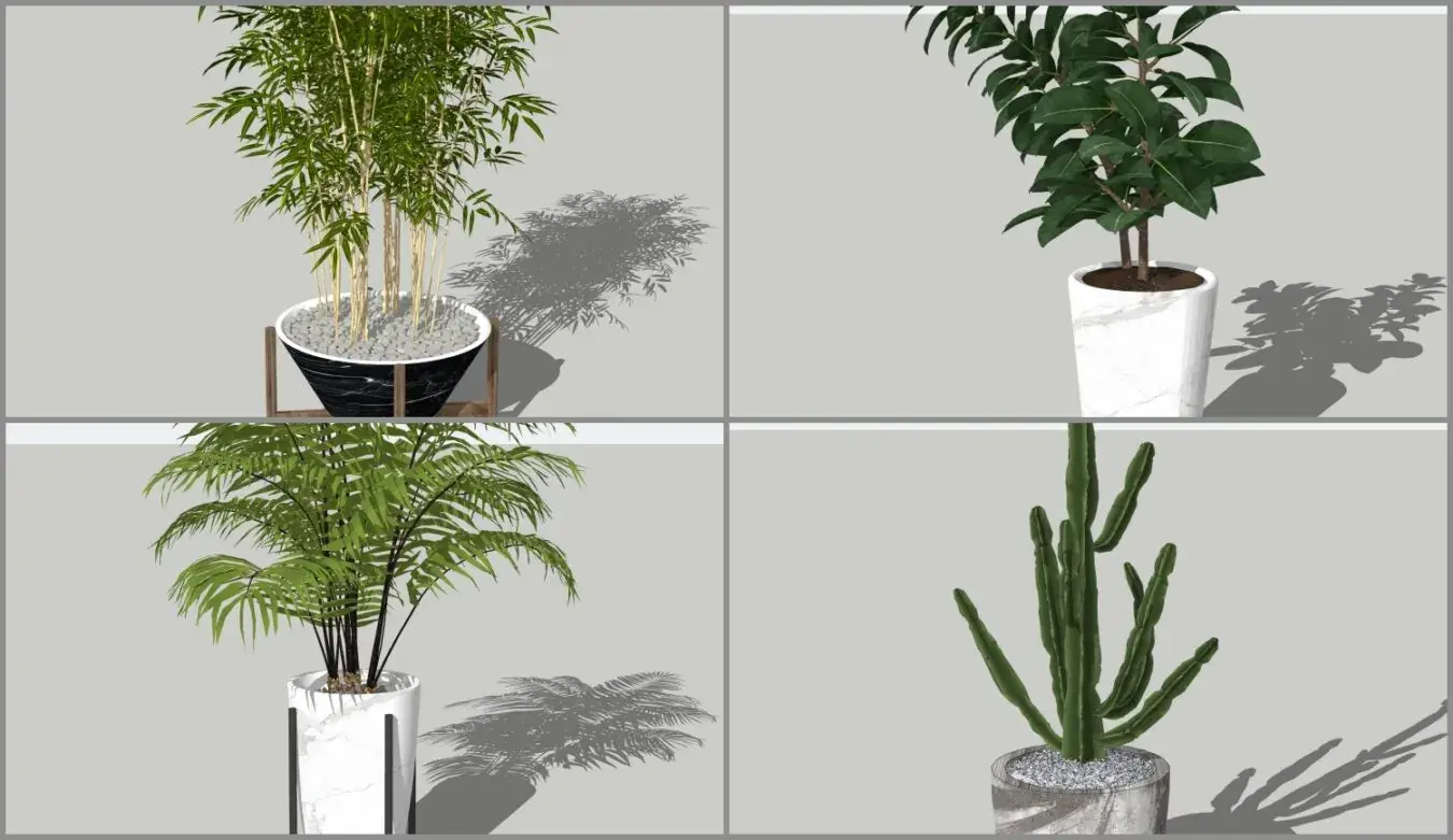 Plant