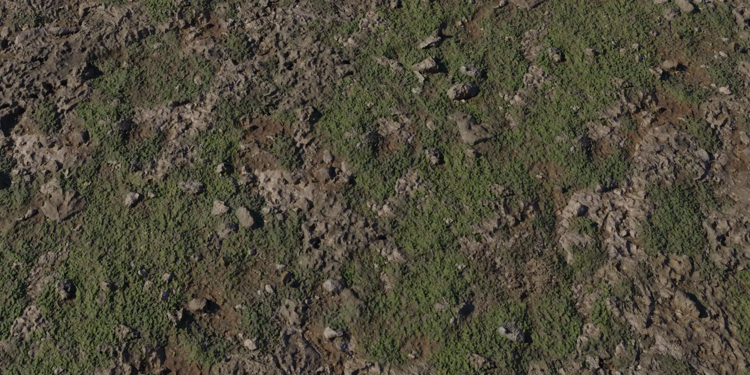 Coastal Sand Rock Ground Texture with Moss — top-down view of weathered coastal rock and moss ground texture