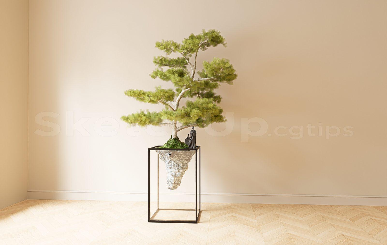 BonSai Tree