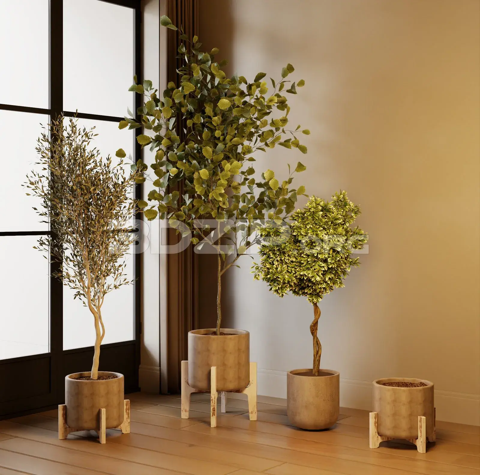 Plants