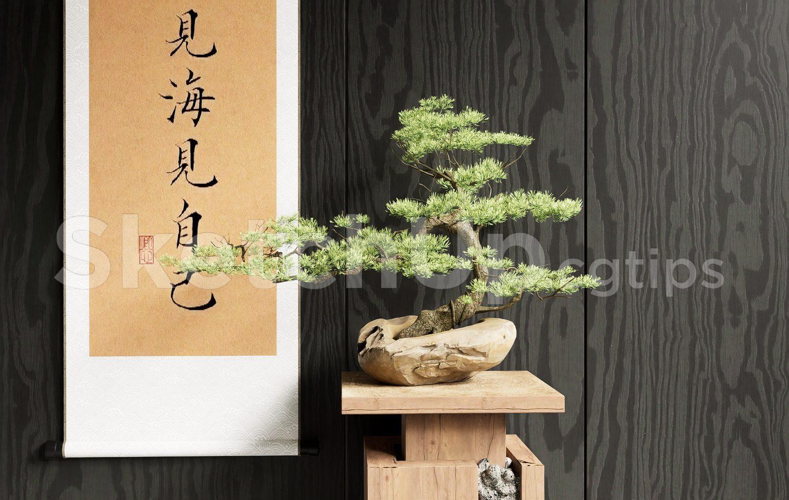 BonSai Tree