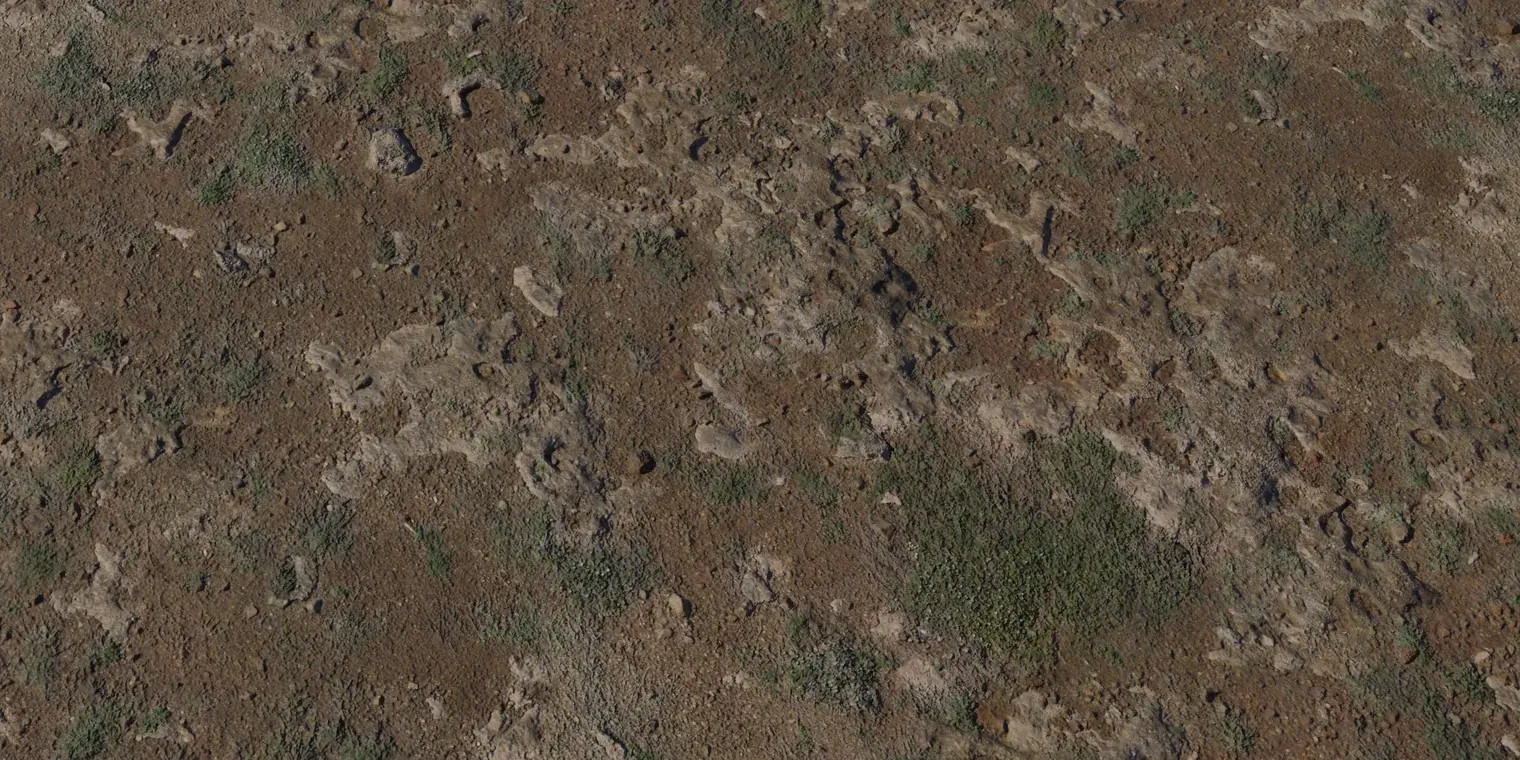 Coast Land Rocks 1