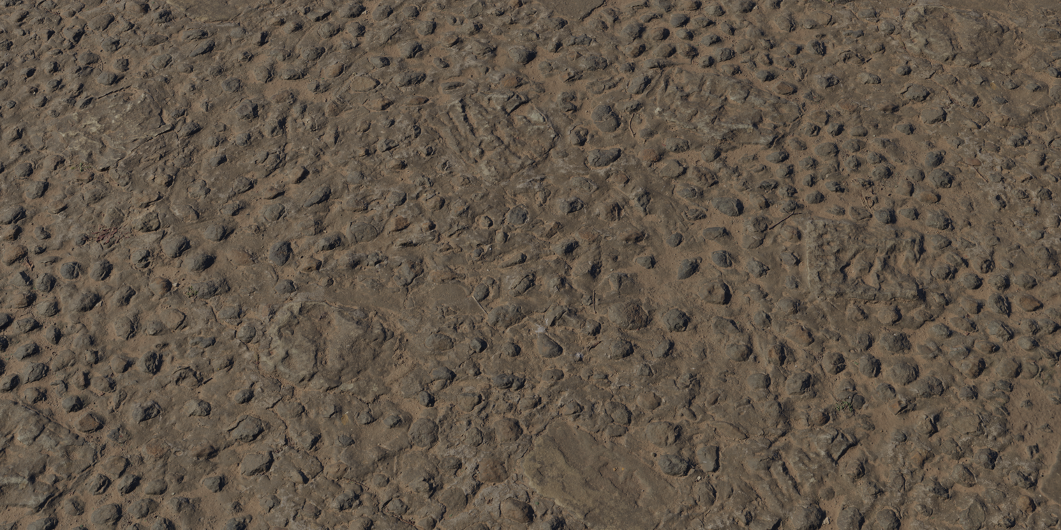 Embedded Rock Floor