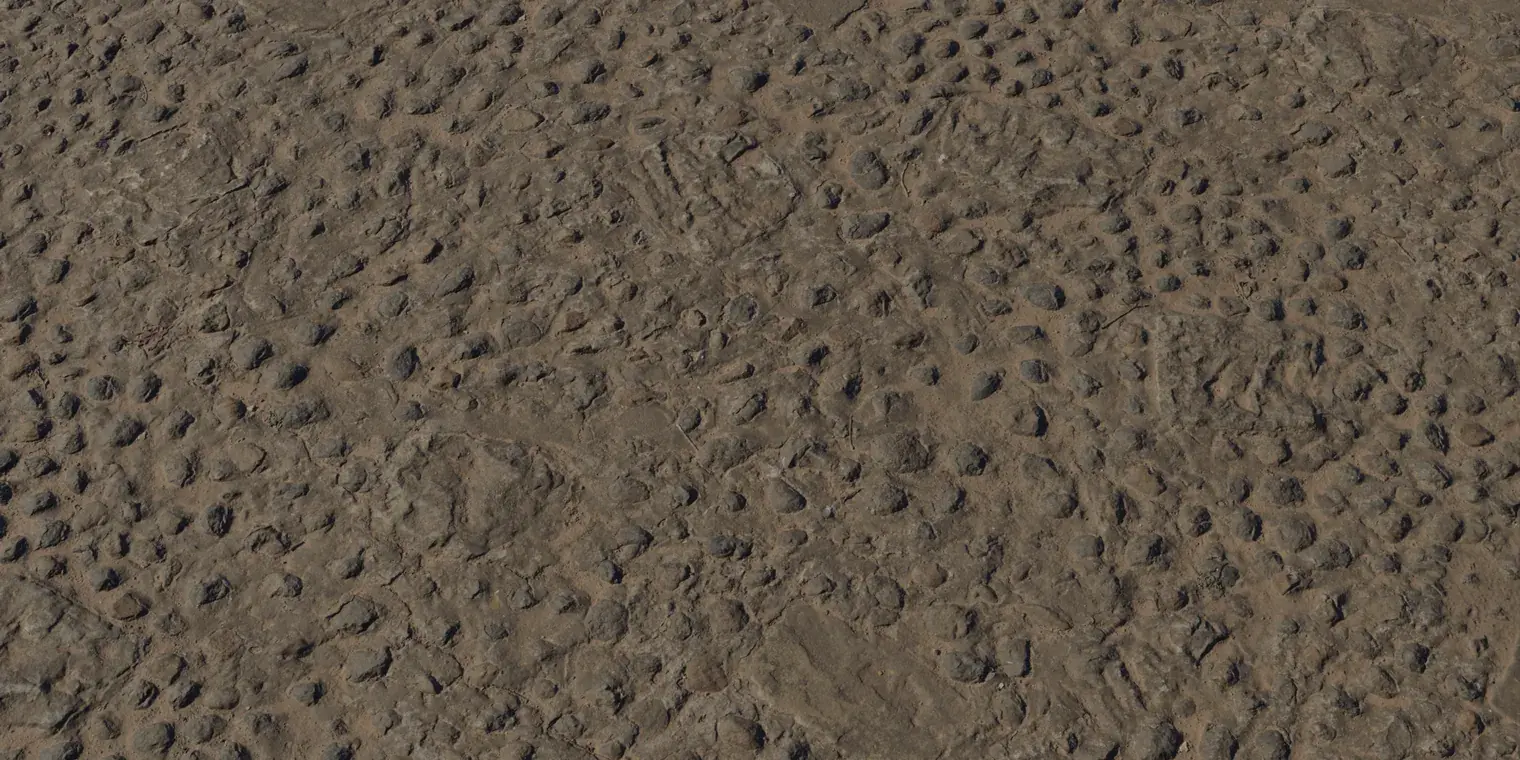 Embedded Rock Floor