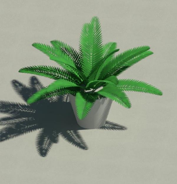 Fern-Potted_RDA