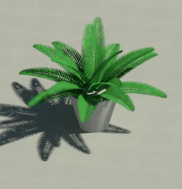 Fern-Potted_RDA
