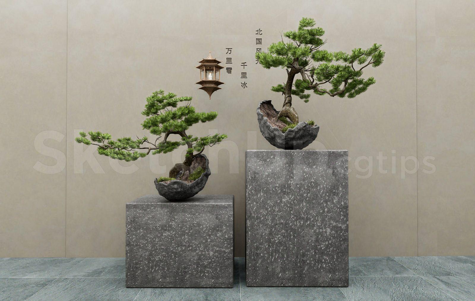 BonSai Tree