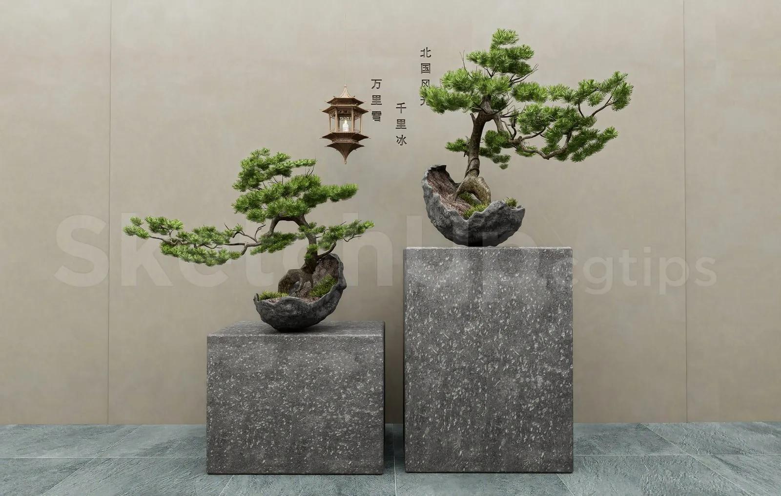 BonSai Tree