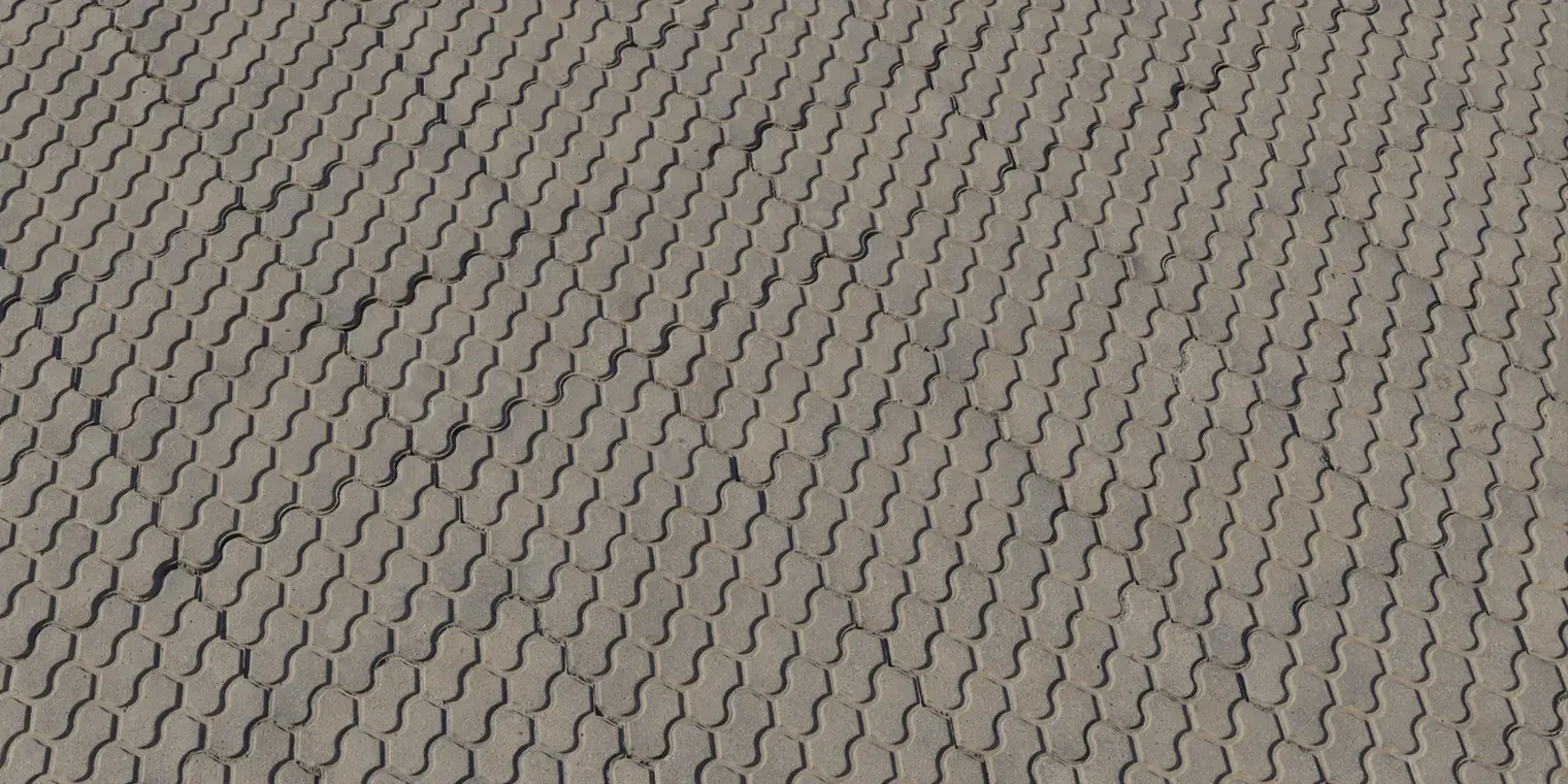 Patterned Concrete Pavers