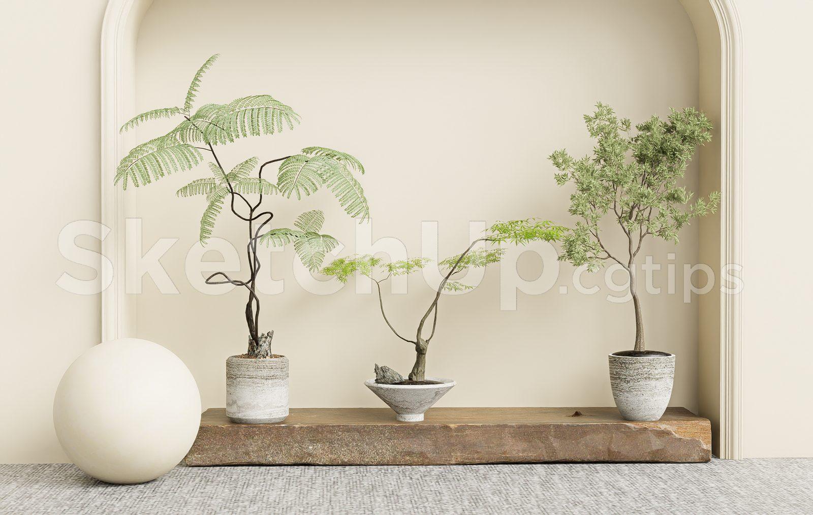 Plant