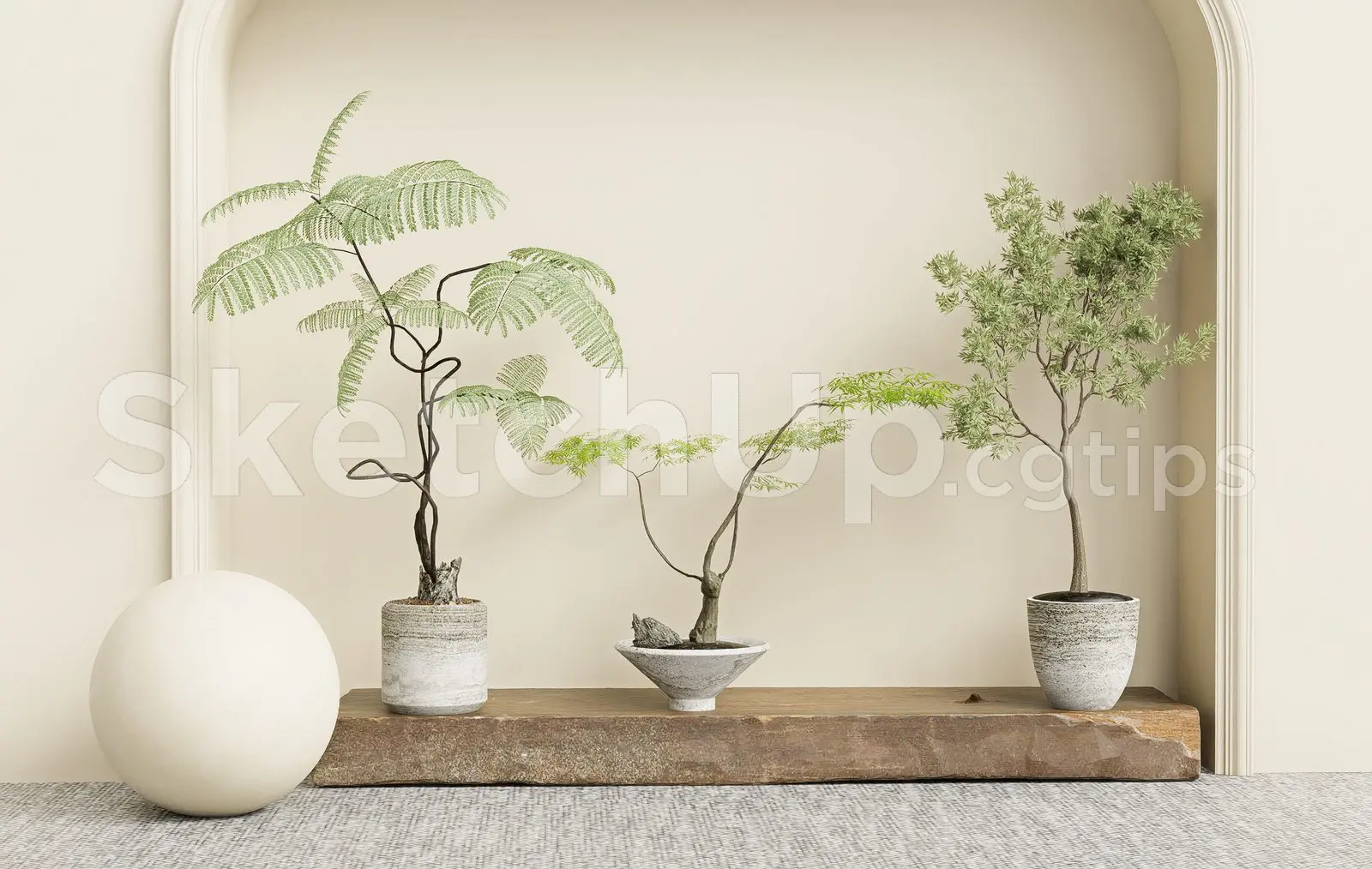 Plant
