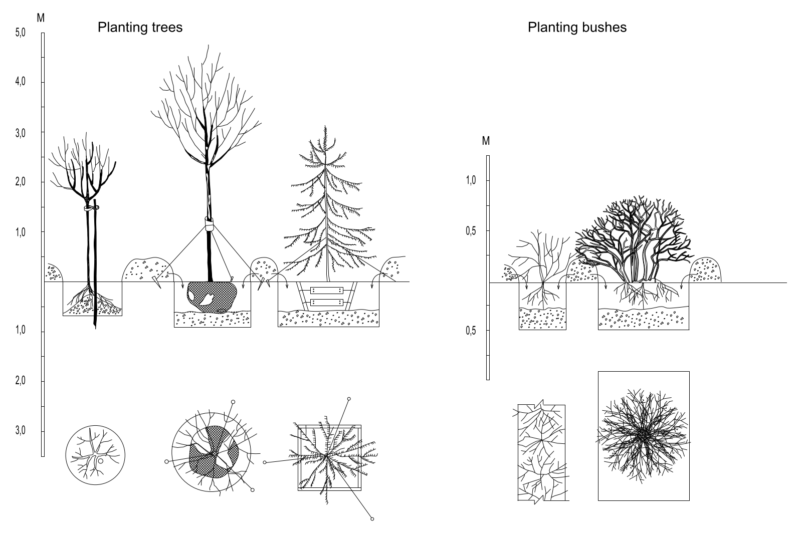 Planting Trees and Bushes CAD