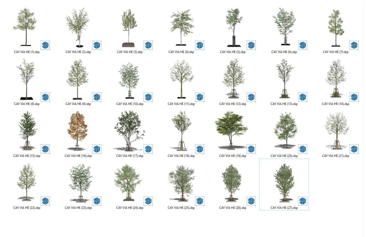 Tree