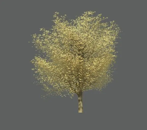 Tree_