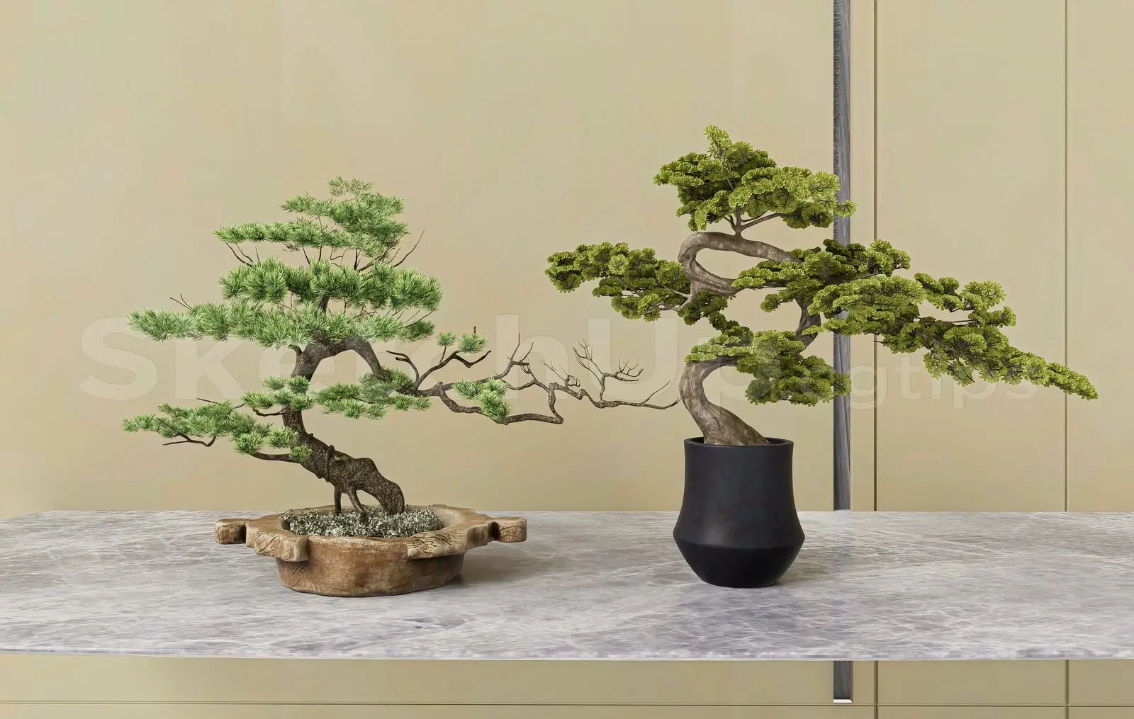 BonSai Tree