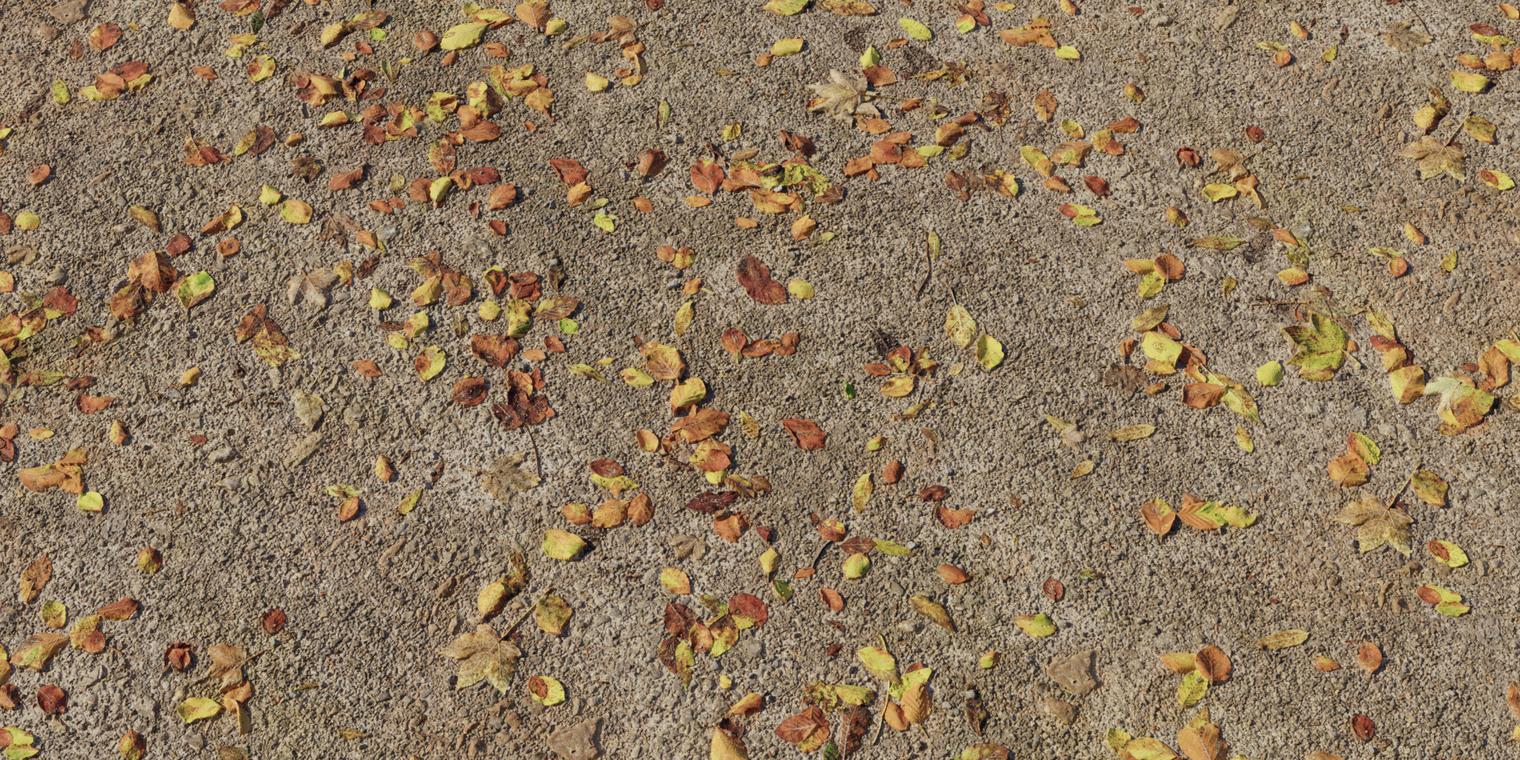 Forest Floor