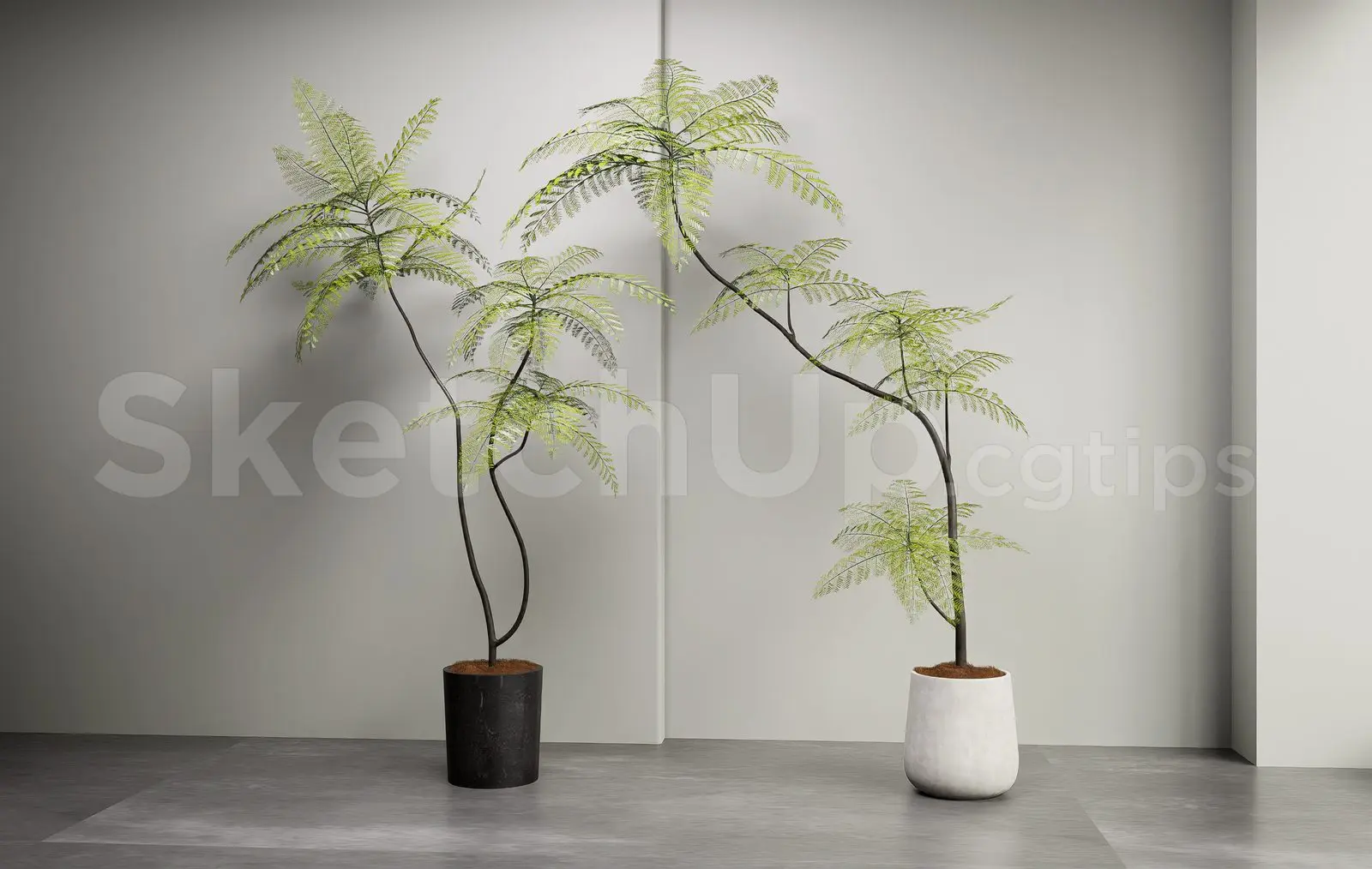 Plant — preview 1 (cgtips)
