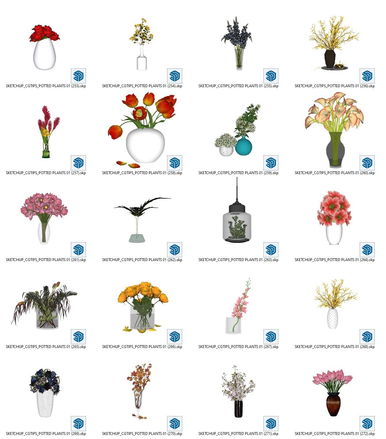 Potted Plants