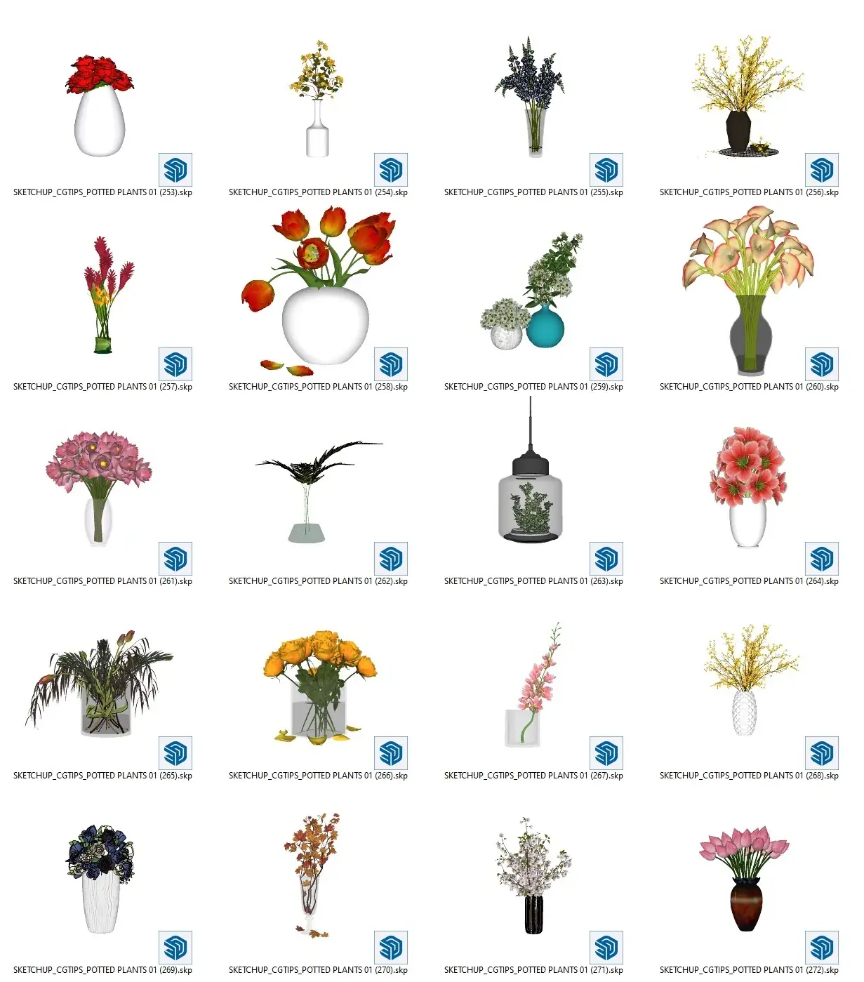 Potted Plants