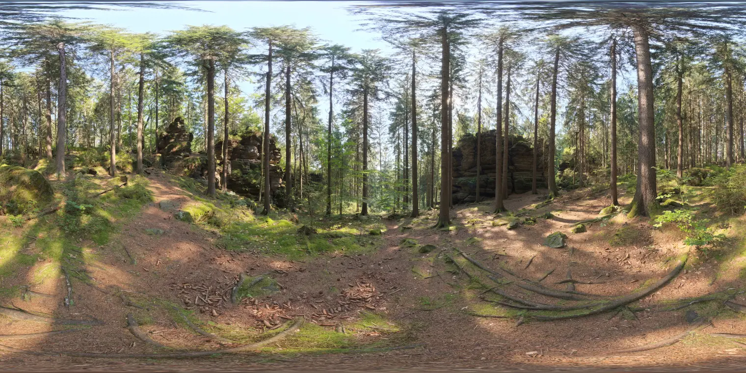 Forest Slope