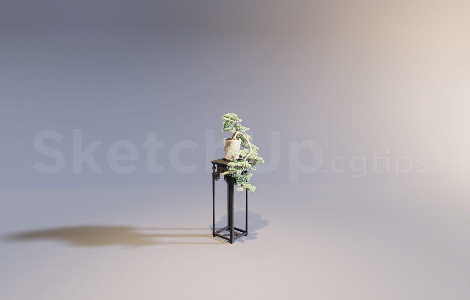 Plant