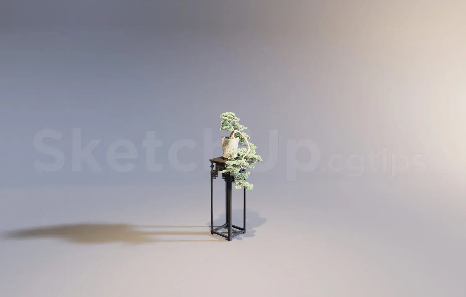 Plant