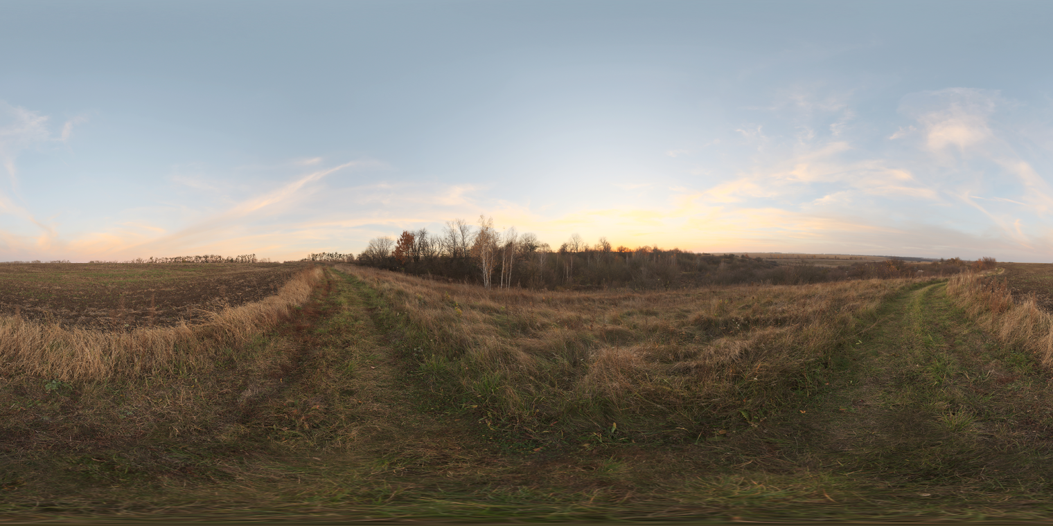 Evening Field