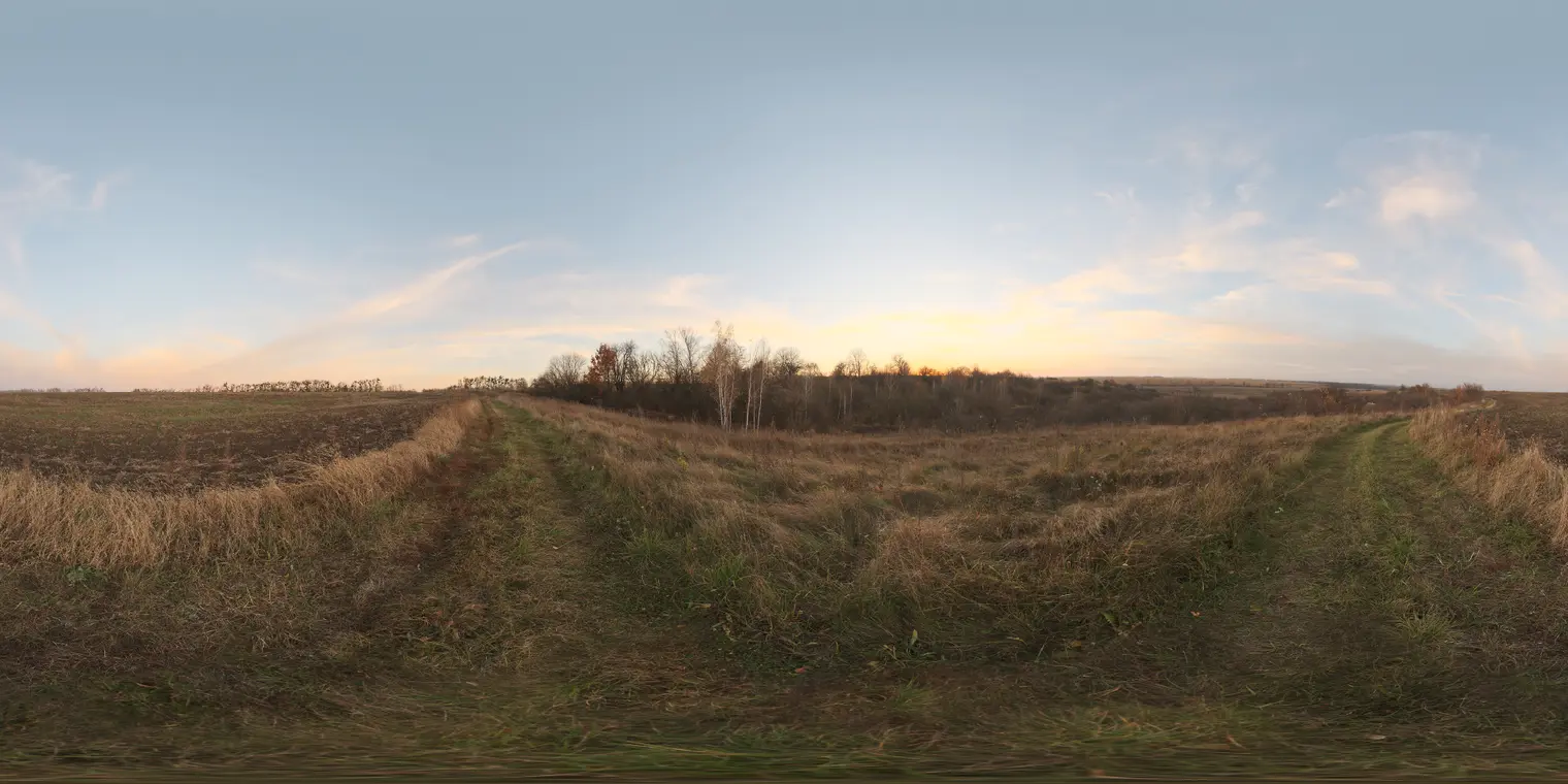 Evening Field