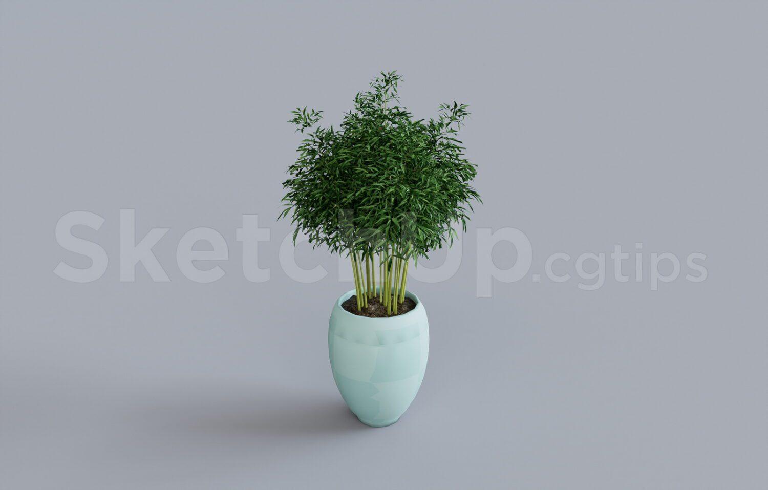 Plant