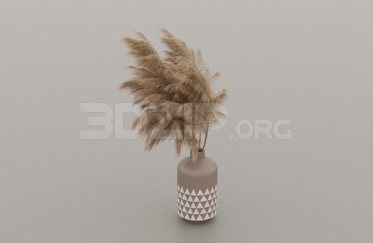Pampas Grass