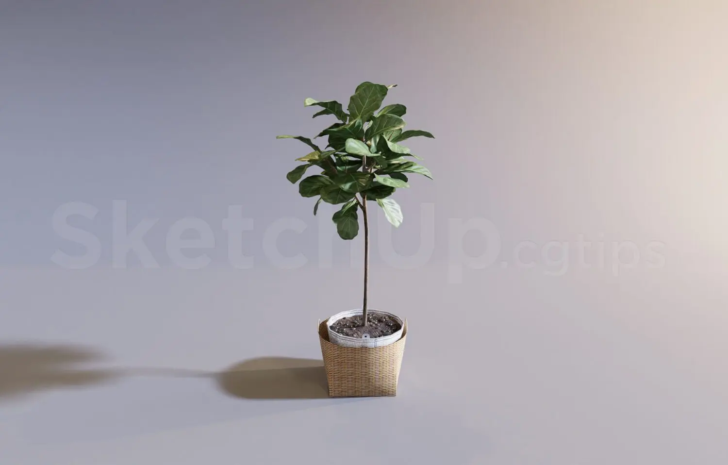 Plant — preview 1 (cgtips, CC0)
