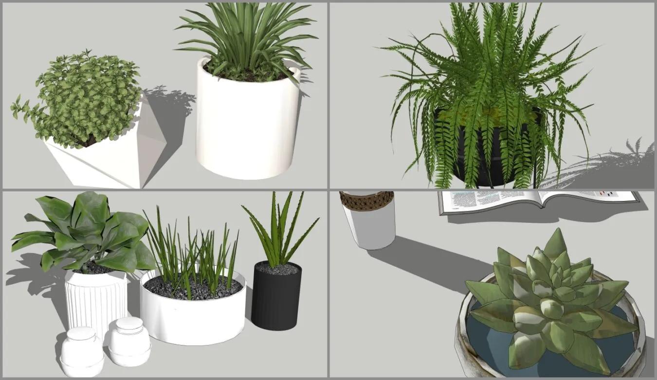 Combo Tini Tree Decor
