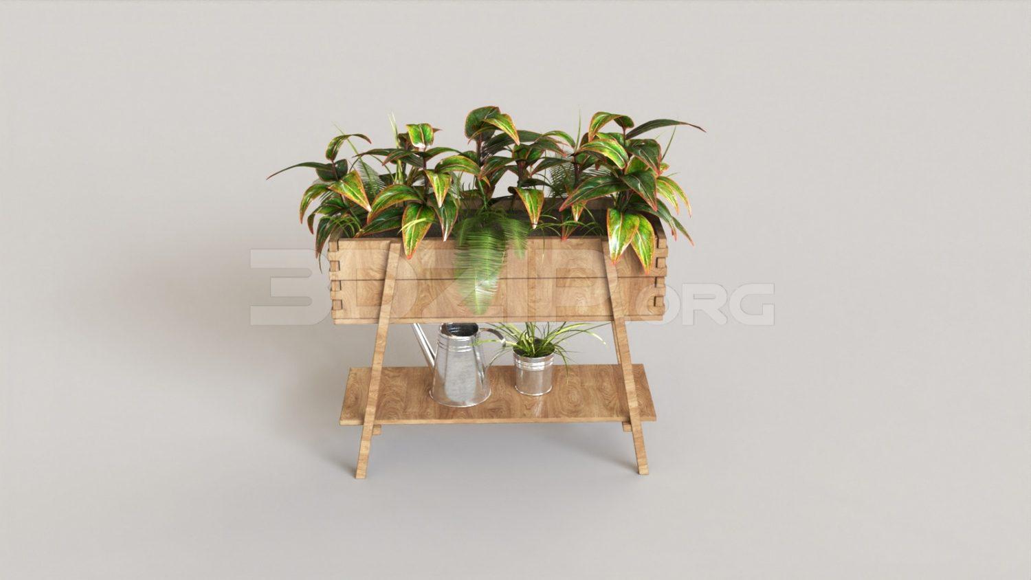 Plant