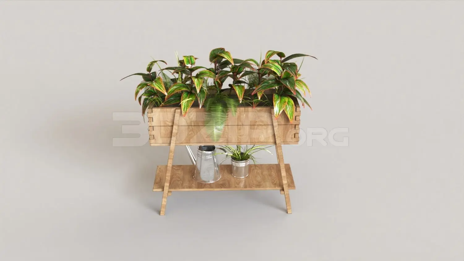 Plant