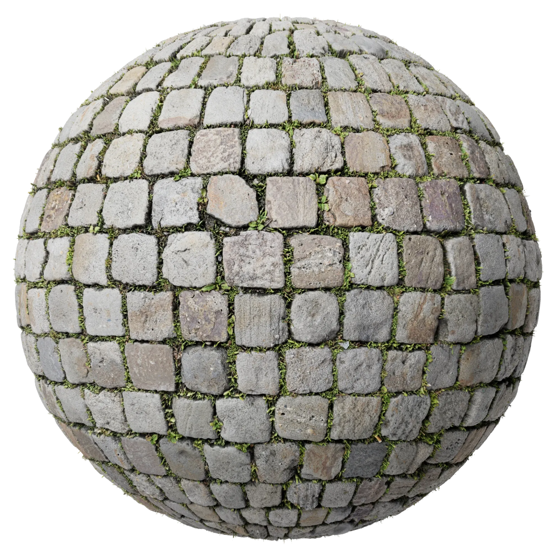 Paving Stones 070