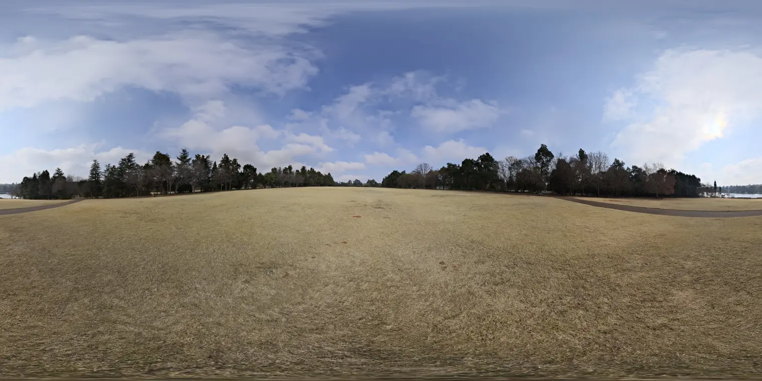 Yellow Field