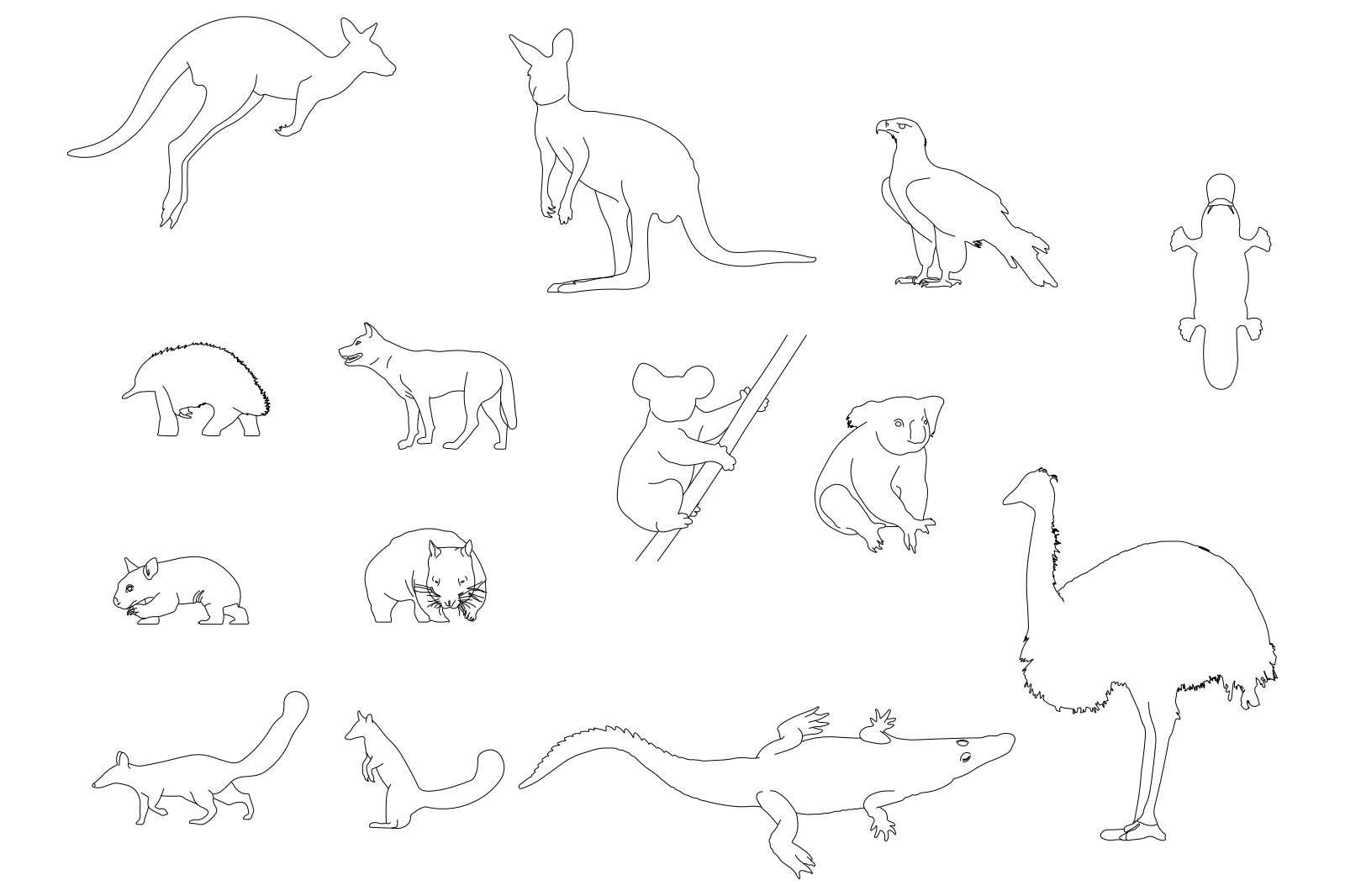 Australian Animals