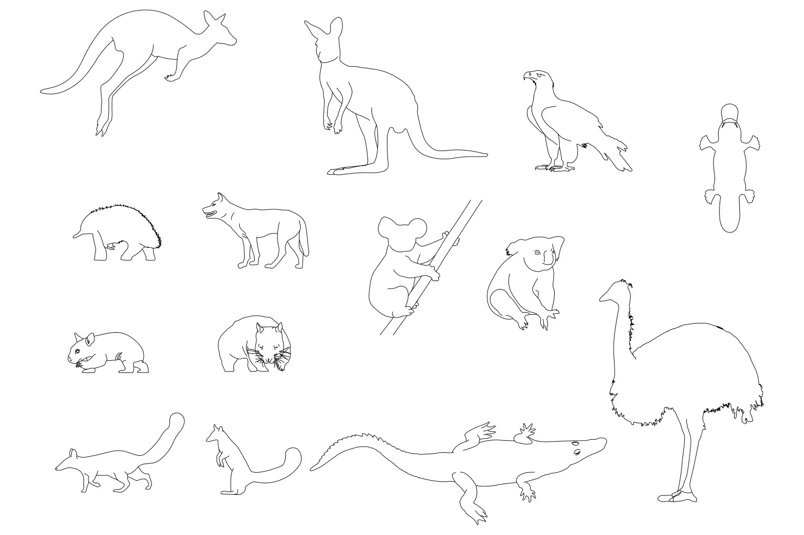 Australian Animals