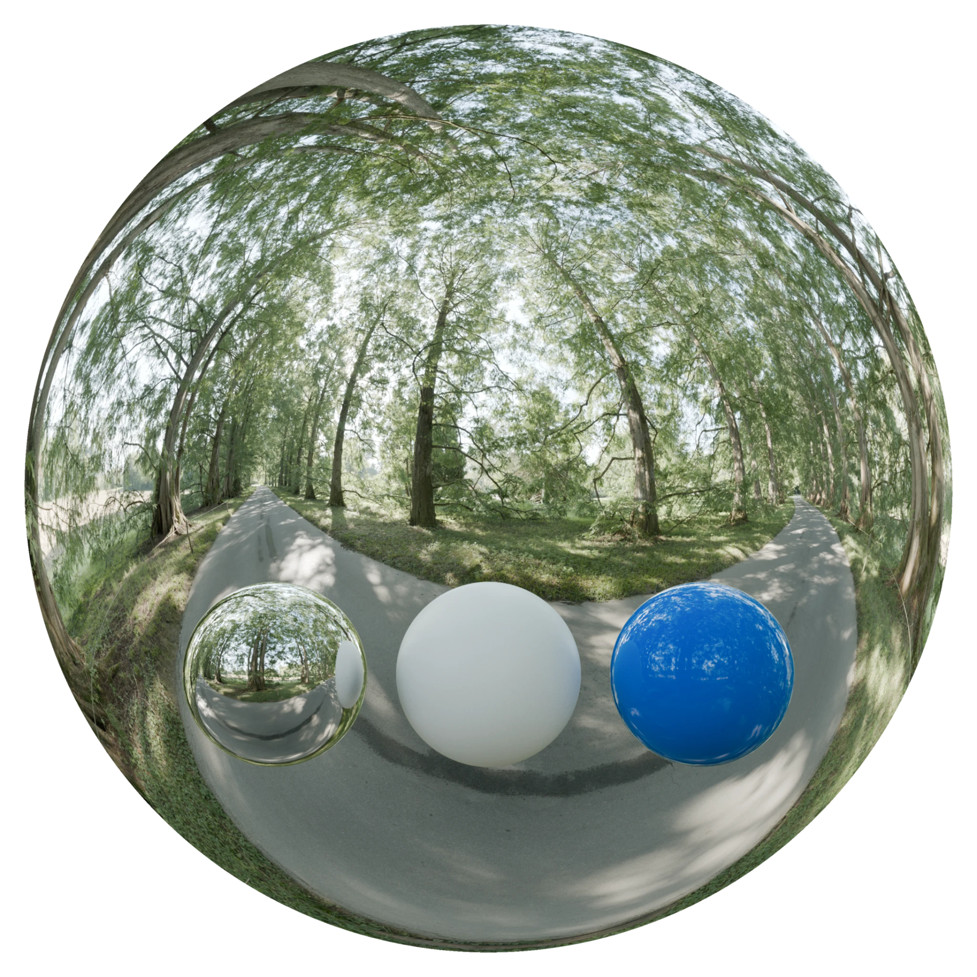 Day Environment HDRI 061