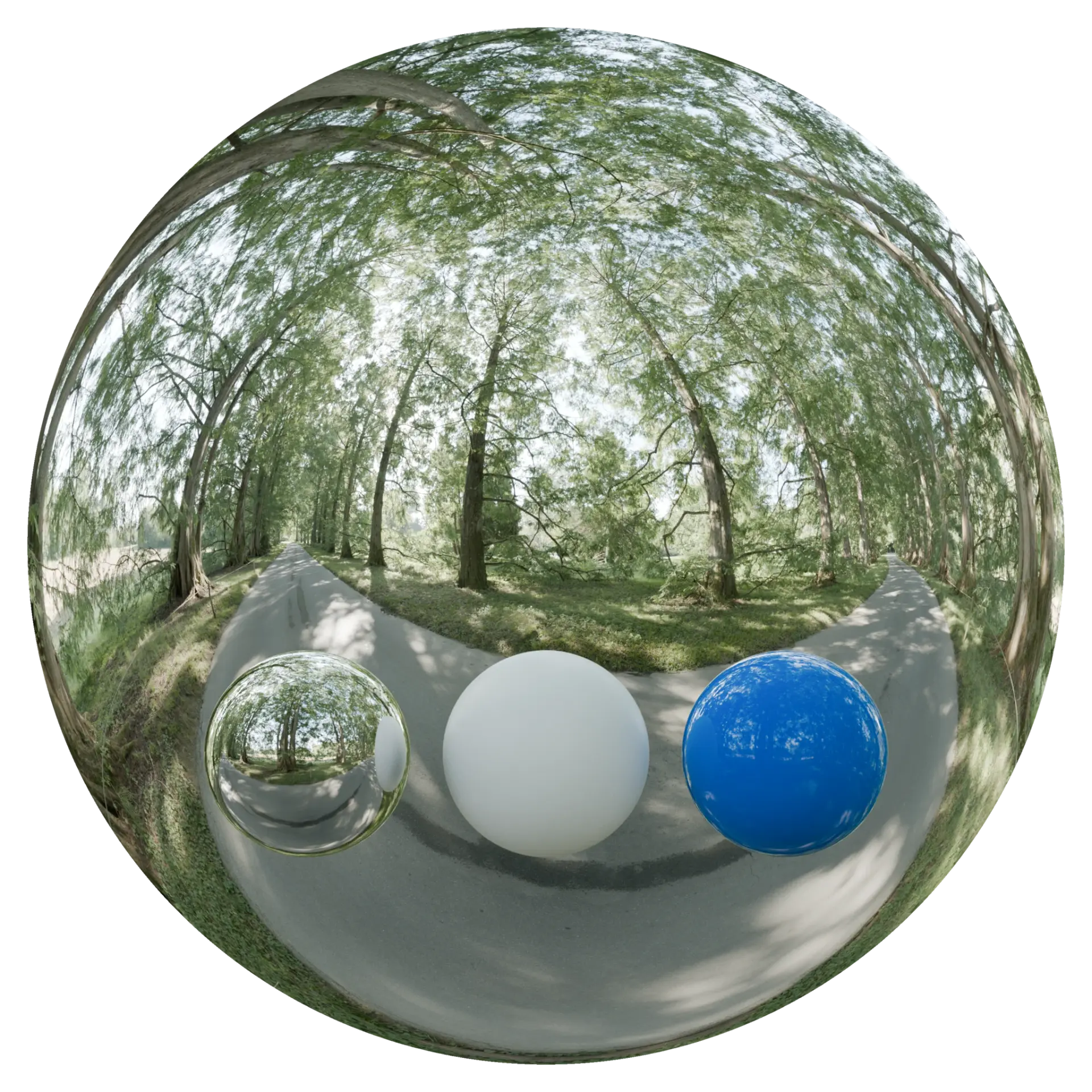 Day Environment HDRI 061