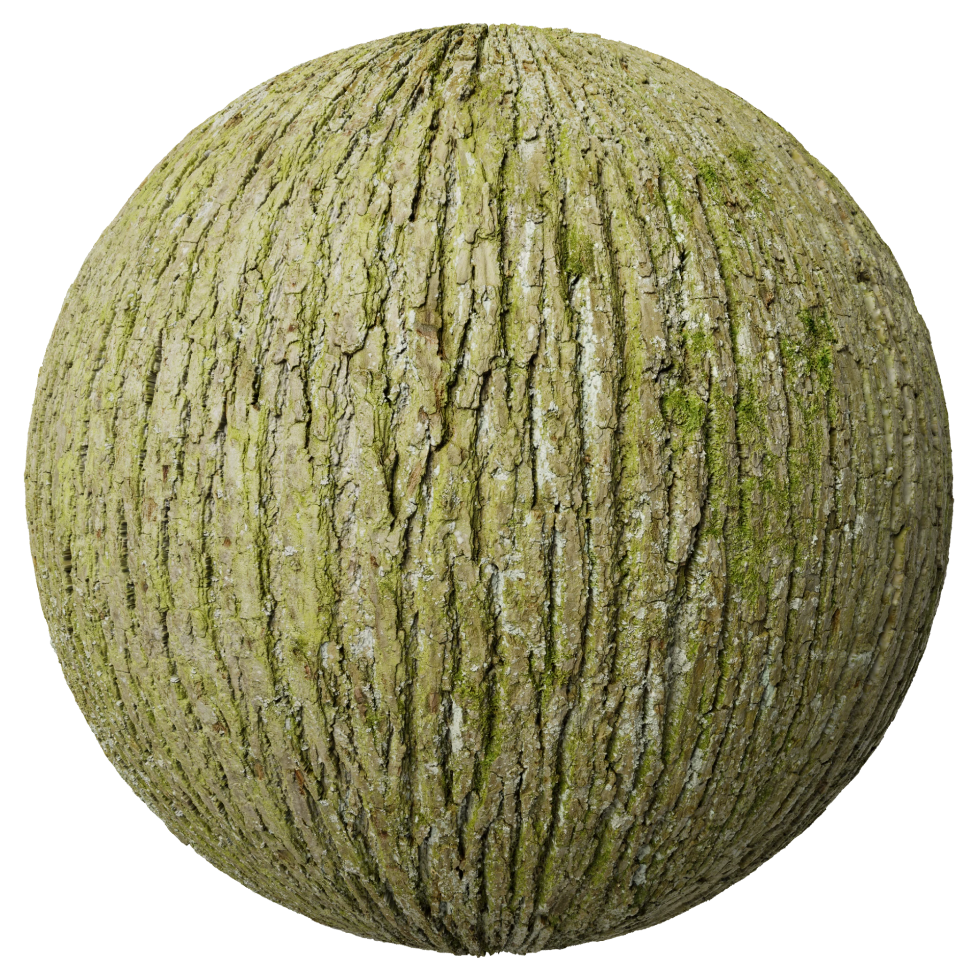 Bark 013