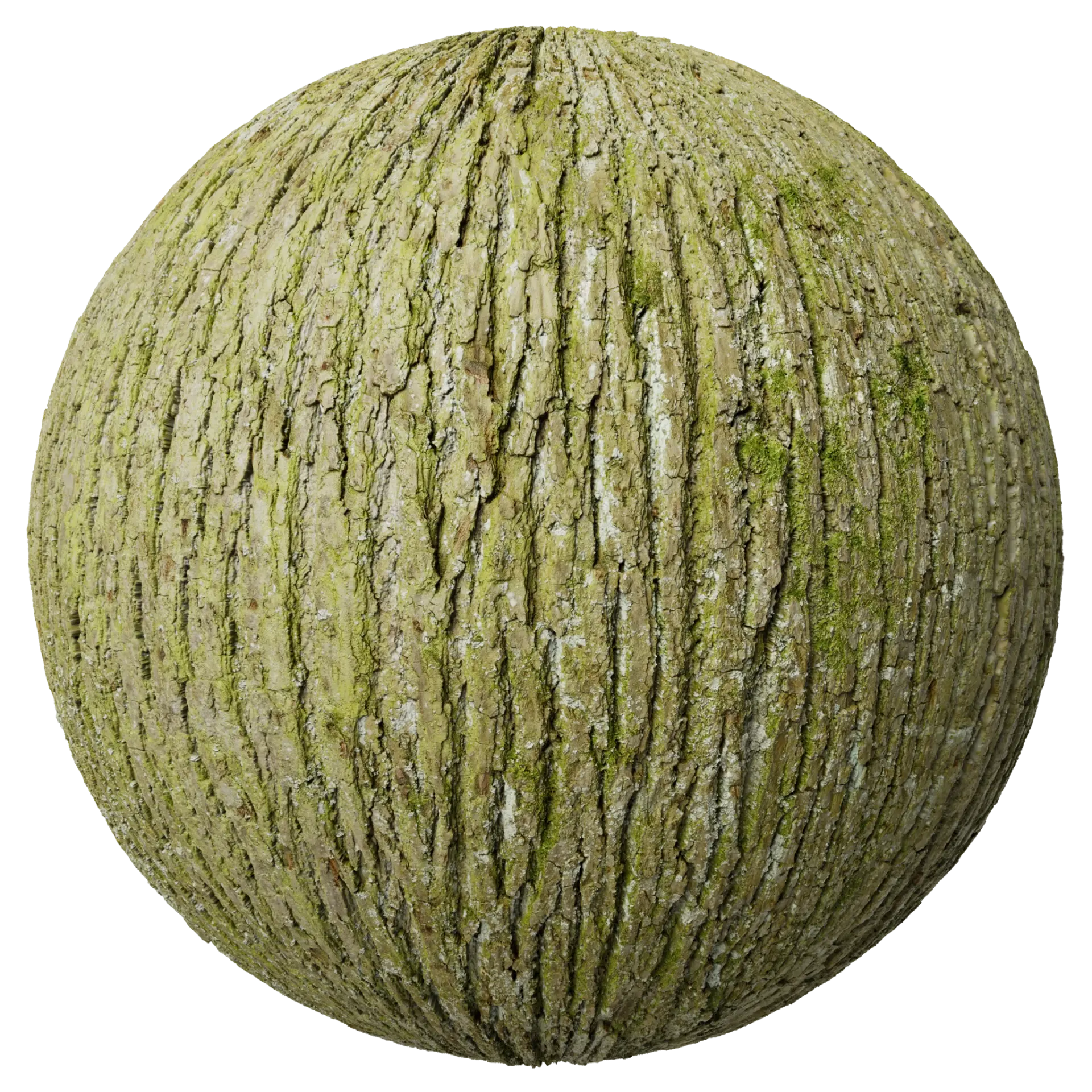Bark 013
