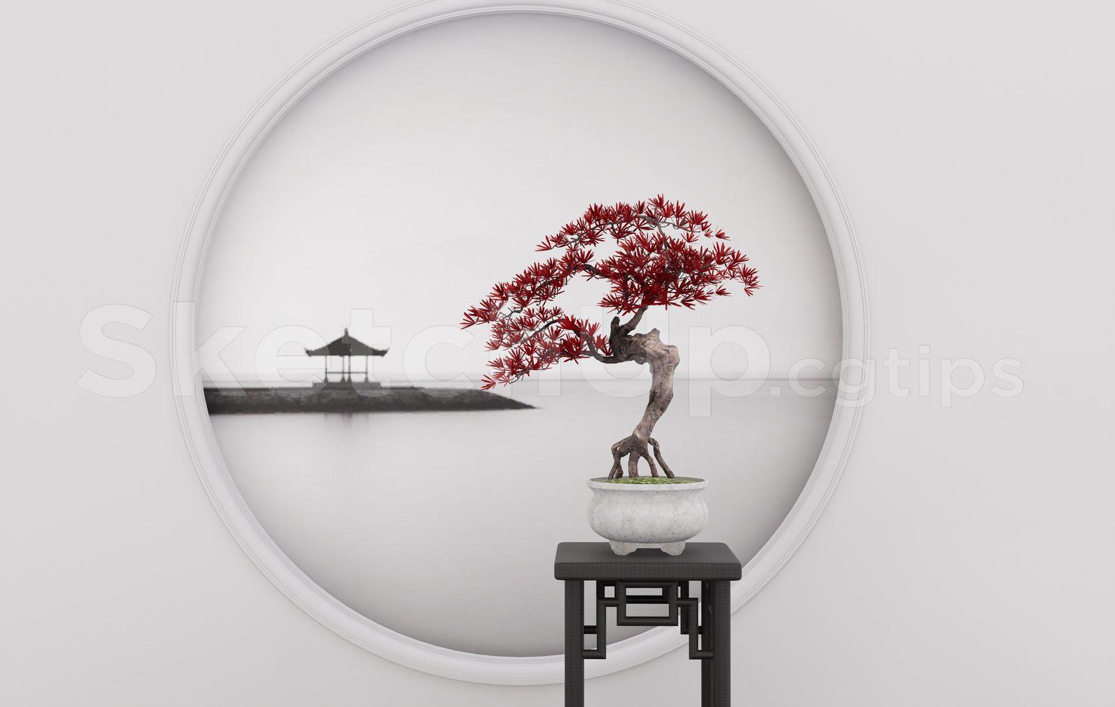 BonSai Tree
