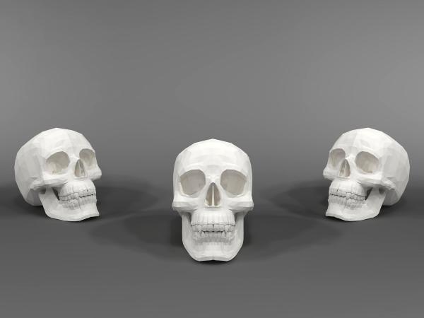 Skull