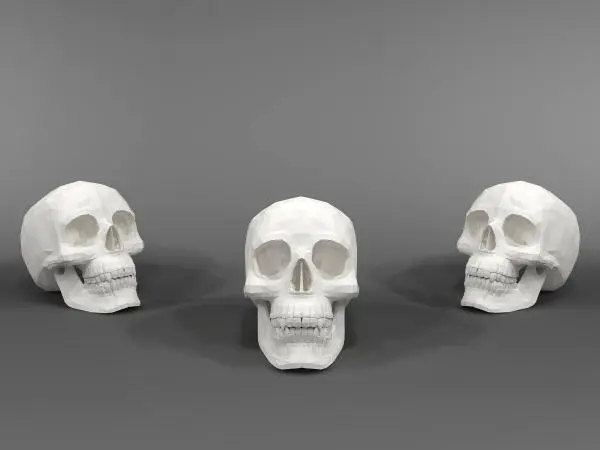 Skull — preview 1, by pevans43 (RevitCity, CC0)