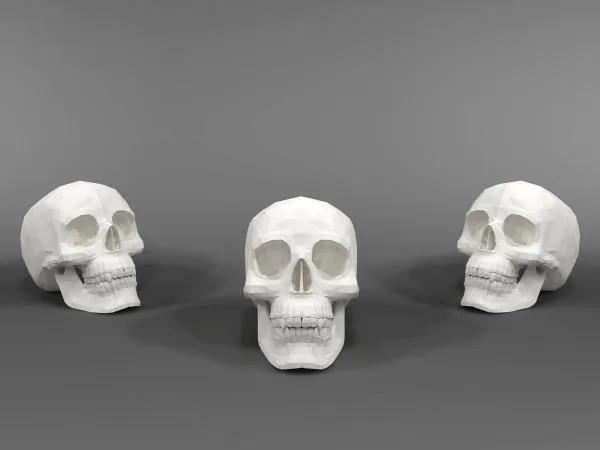 Skull