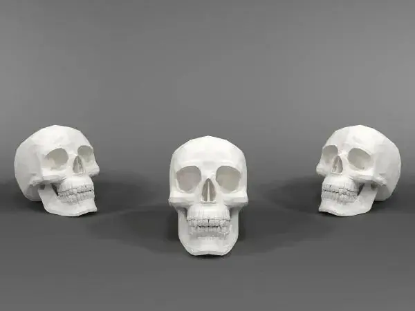 Skull
