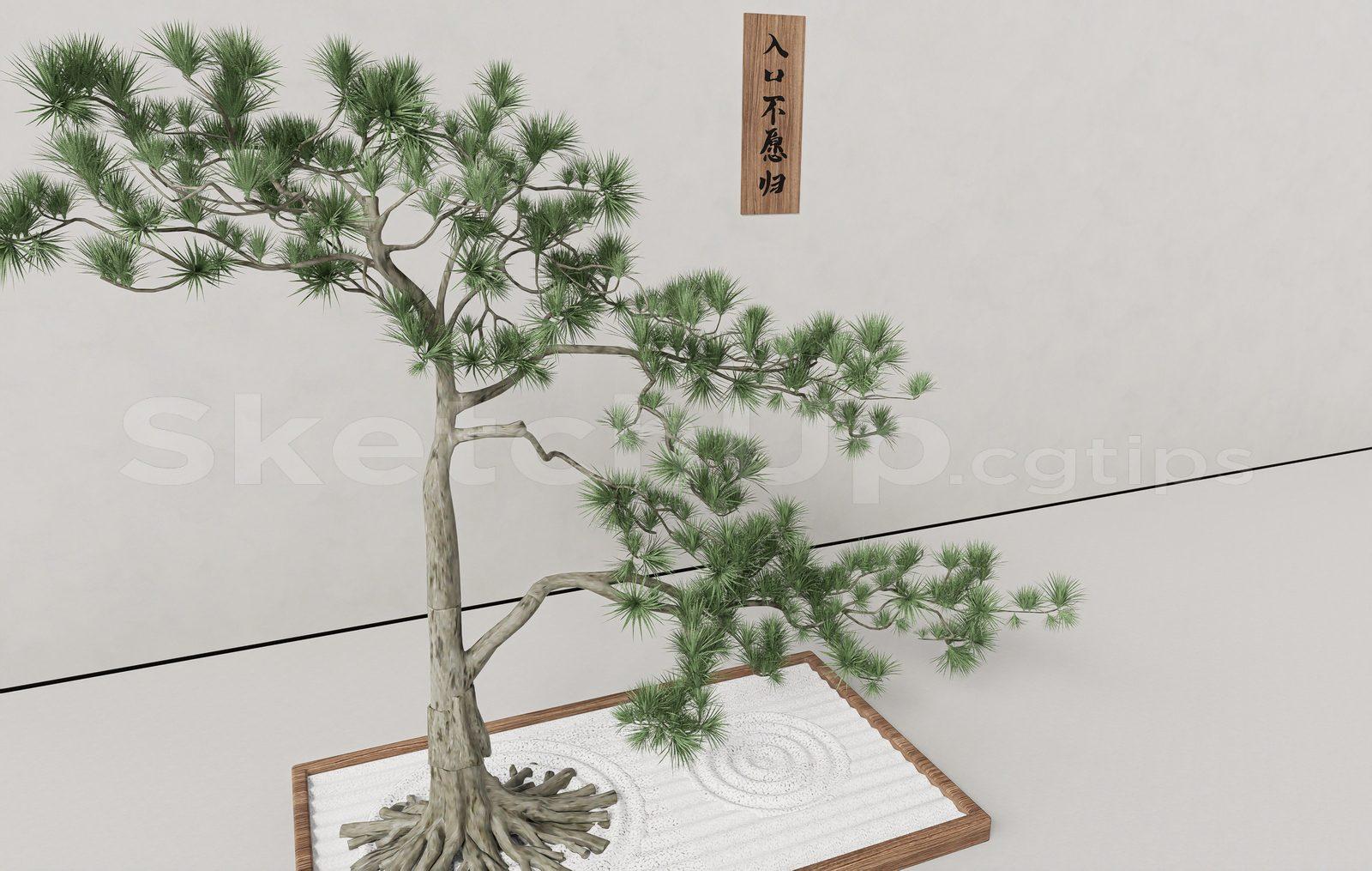 BonSai Tree