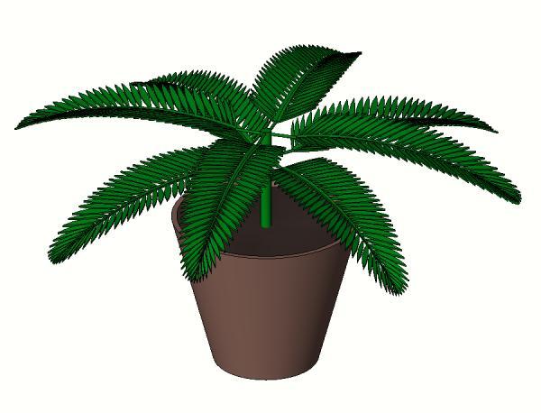 Potted-Palm_RDA